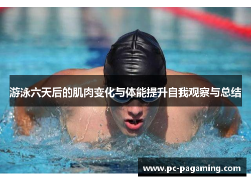 游泳六天后的肌肉变化与体能提升自我观察与总结 游泳六天后的肌肉变化与体能提升自我观察与总结