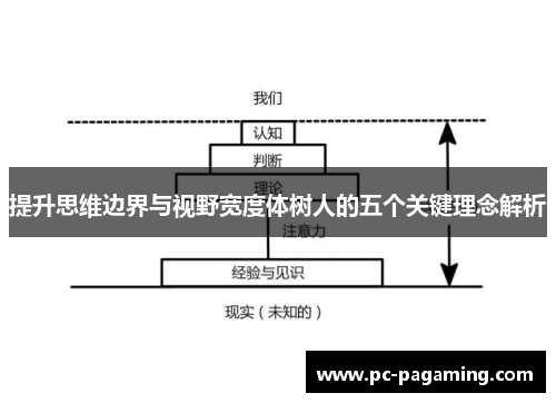 提升思维边界与视野宽度体树人的五个关键理念解析 提升思维边界与视野宽度体树人的五个关键理念解析