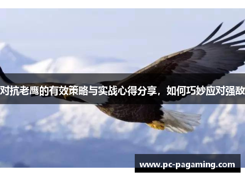 对抗老鹰的有效策略与实战心得分享，如何巧妙应对强敌