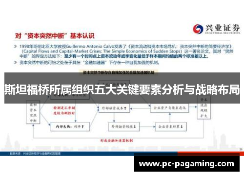 斯坦福桥所属组织五大关键要素分析与战略布局