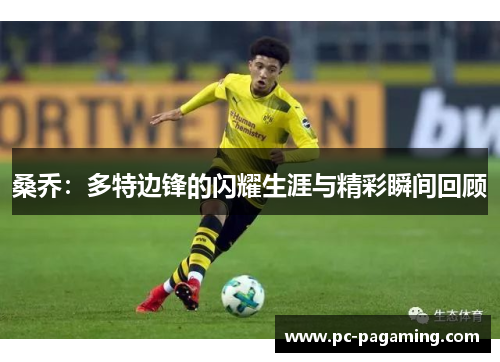 桑乔：多特边锋的闪耀生涯与精彩瞬间回顾